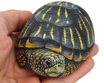 Unique Hand Painted Tortoise | A Wonderful Box Earth Turtle Painted with Acrylic on a Perfectly Shaped Sea Rock