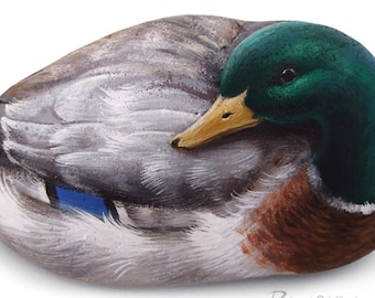 A Unique Male Mallard Hand Painted on a Smooth Sea Stone! Rock Painting Art by Roberto Rizzo | Duck Collection Animal Art Painted Stone