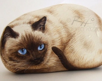 海の石に描かれた、魅力的なシャム猫 | ロベルト・リッツォによる