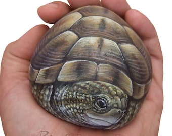 Unique Hand Painted Tortoise | A Wonderful Earth Turtle Painted with Acrylic on a Perfectly Shaped Sea Rock by Roberto Rizzo