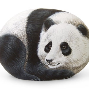 Panda gigante dipinto su roccia / Pietra dipinta a mano finemente dettagliata / L&#39;arte di dipingere le rocce di Roberto Rizzo