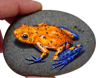 Unique Hand Painted Poison Frog Resting On A Rock | Small Trompe l'Oeil | Frog Art | Painted Stones by Roberto Rizzo
