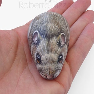 Incredibly Realistic Hand Painted Rock Mouse | Stone Art Painted Rocks by Roberto Rizzo