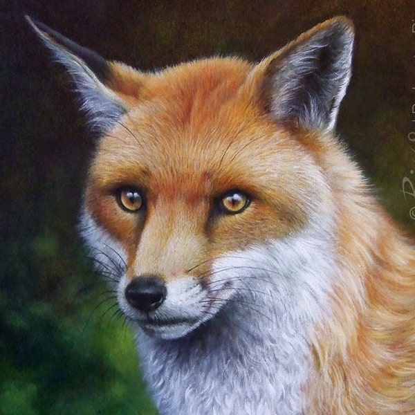 The Fox - Original Fox Painting | Wildlife Art by Roberto Rizzo