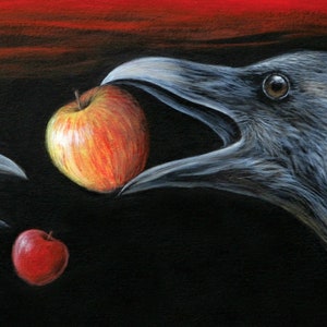 May include: Two black ravens with open beaks, one raven is looking at a red apple, the other raven is looking at a yellow apple with red stripes.