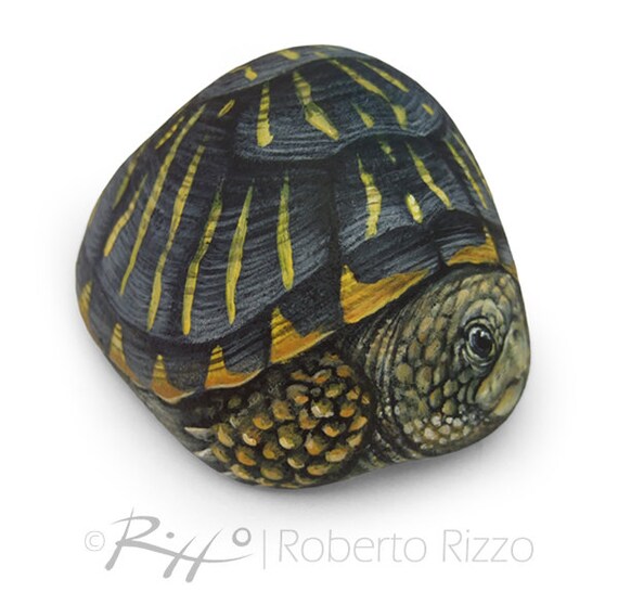 ユニークな手描きのカメ｜完璧な形の海の岩にアクリルで描かれた 