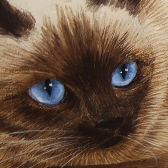 海の石に描かれた、魅力的なシャム猫 | ロベルト・リッツォによる