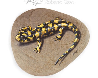 Unique Hand Painted Tiger Salamander Resting On A Rock | Fine Art by Roberto Rizzo