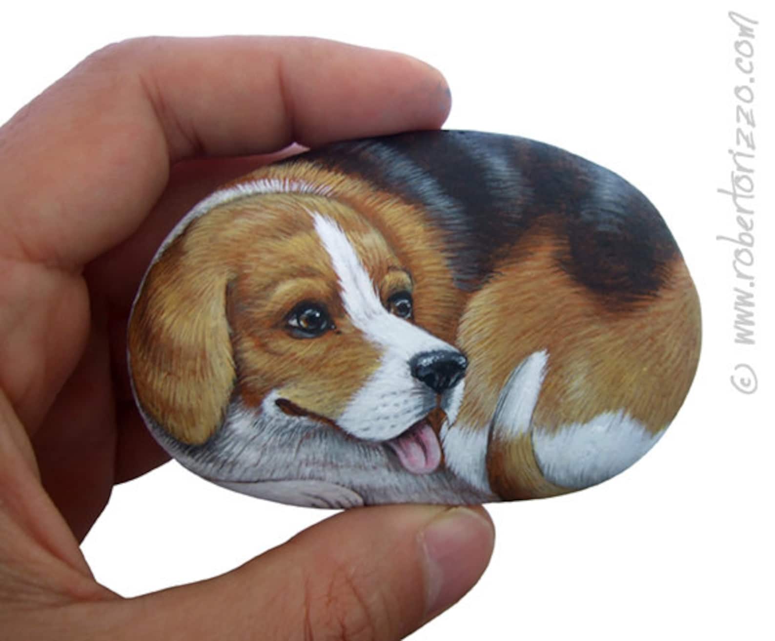 Sweet Beagle Painted on A Sea Stone | Rock Art by Roberto Rizzo | Pet ...