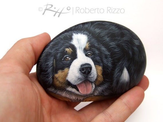 Done deal bernese mountain dog sale