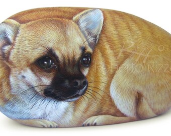 Custom Dog Portraits Hand Painted on Natural Sea Stone | Fine Detailed Pet Memorial Painted Rocks by the Artist Roberto Rizzo