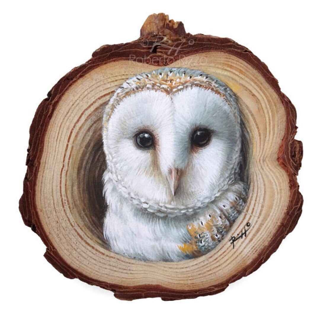 A Realistic Barn Owl Coming Out From Its Lair, a Unique Wood Slice