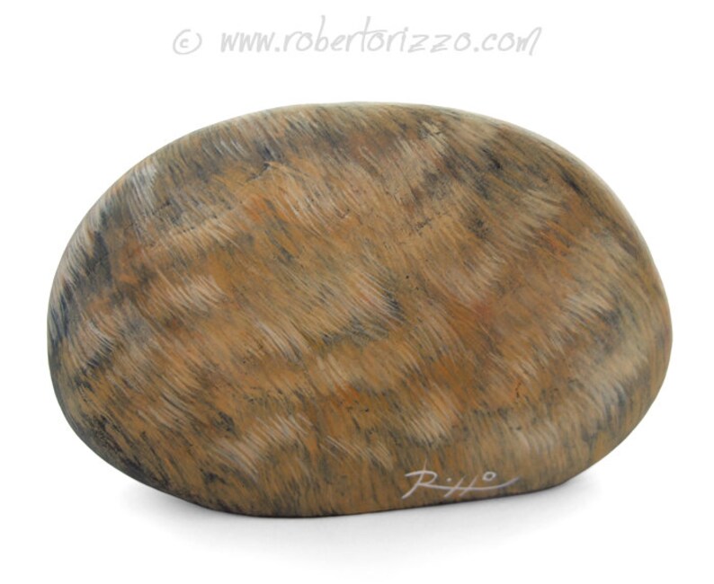 Hand Painted Stone Lion | Wildlife Rock Art by Roberto Rizzo | A Unique ...