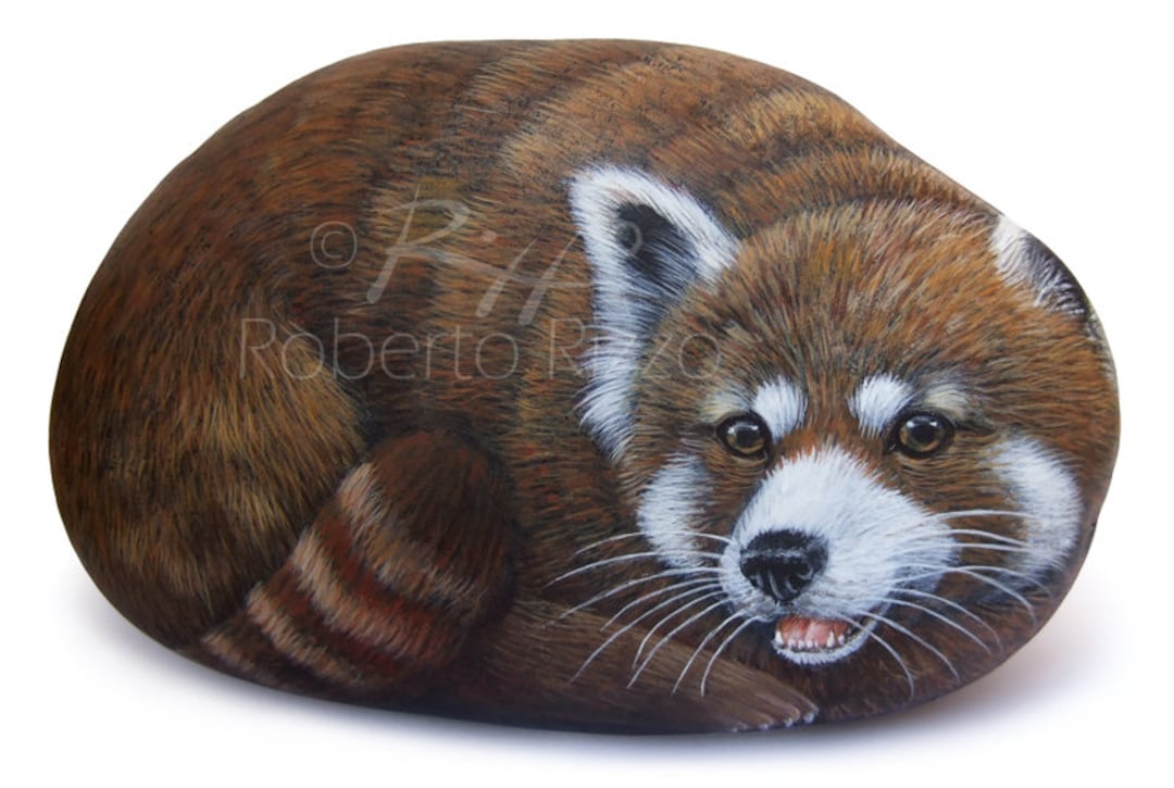 Painted Red Panda Stone Painting Art Roberto Rizzo - Etsy