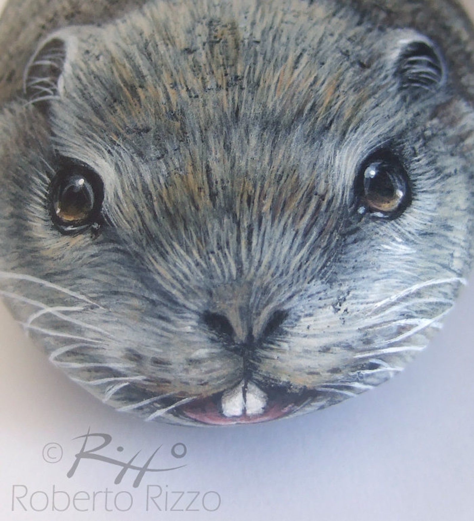 Marmot Or Prairie Dog?  The Ultimate Guide To Identifying Them! - 0a3hs1l
