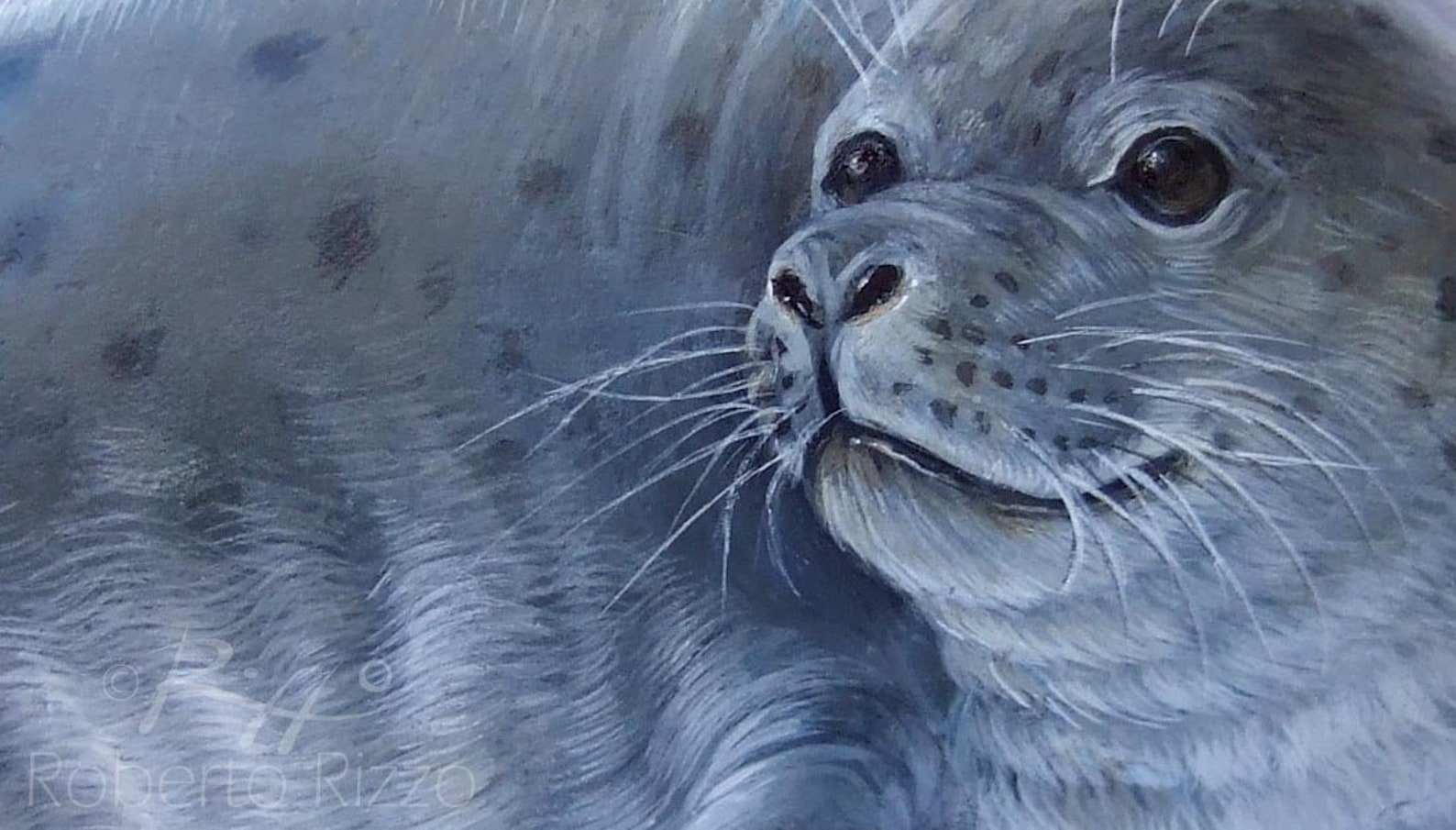 Stunning Rock Painted Seal | Painted Stones by Roberto Rizzo | Rock ...