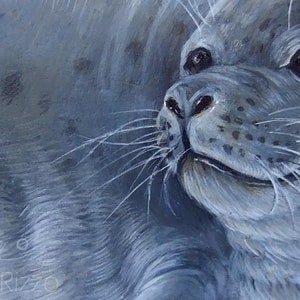 Seal painted on rock