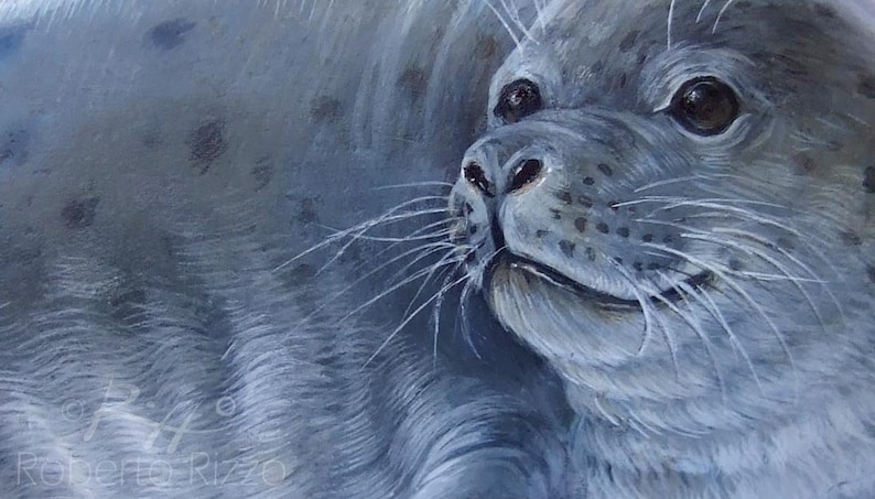 Seal painted on rock