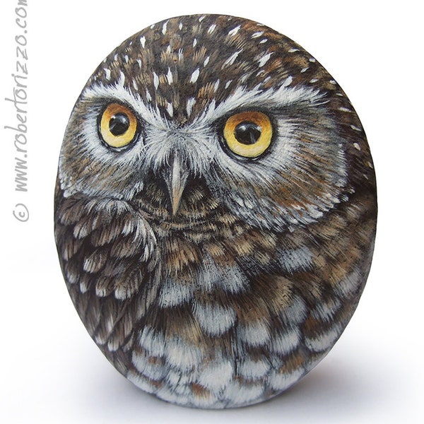 Original Hand Painted Little Owl Rock