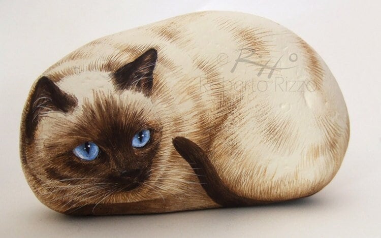 海の石に描かれた、魅力的なシャム猫 | ロベルト・リッツォによる