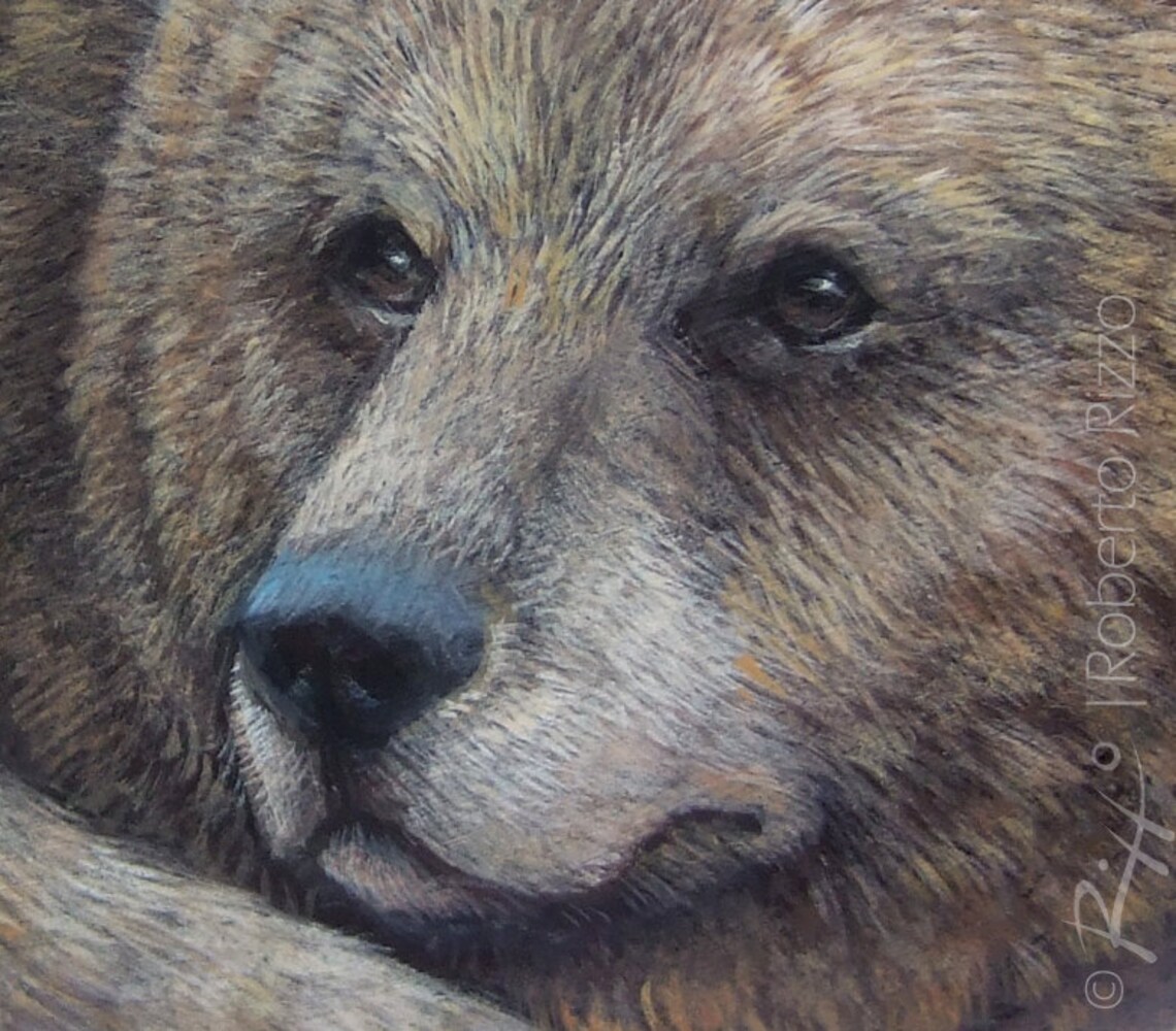 Fine Detailed Grizzly Bear Hand Painted on A Sea Stone Rock Etsy