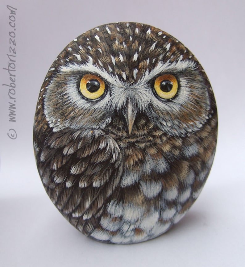 Original Hand Painted Little Owl Rock Etsy