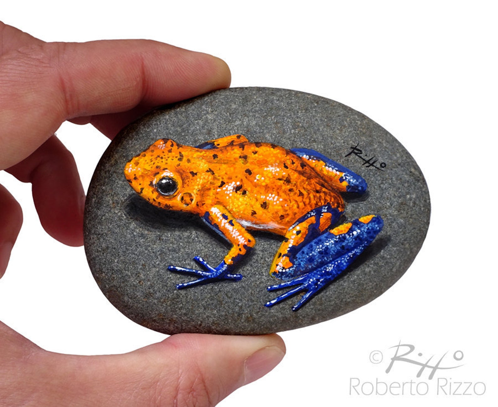 Cute frog rock painting