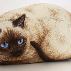 Irresistible Siamese Cat Painted on A Sea Stone | Rock Art by Roberto Rizzo | Painted Rock Cats | Cat Painting Stone | Pebble Art in Acrylic