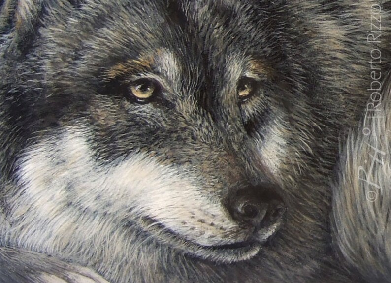 Wolf Hand Painted Stone | Rock Painting Art by the Artist Roberto Rizzo ...