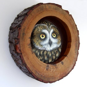 Short-Eared Owl Nest Unique 3-D Art by Roberto Rizzo image 2