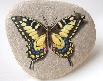 Handmade Swallowtail Butterfly Painted on Flat Natural Sea Rock | Swallowtail Butterfly Resting on A Rock Handpainted by Roberto Rizzo