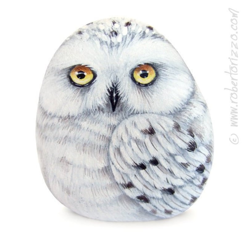 Rock painted snowy owl