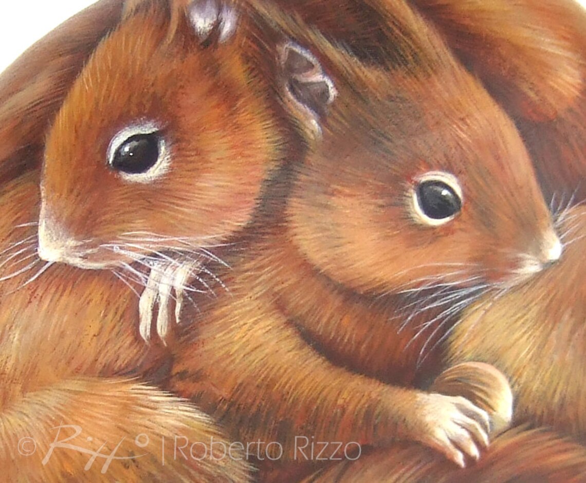 Sweet Squirrels Hugging Each Other A Unique Hand Painted Rock by