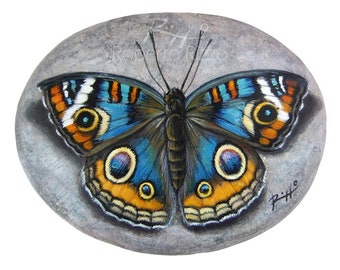 Painted Rock with a Junonia Orithya Butterfly | Original Butterfly Resting on A Rock Handpainted by Roberto Rizzo | Rock Art Painting