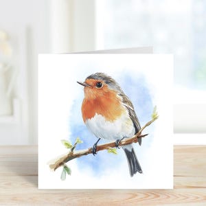 Robin Grußkarte, Garten Robin Karte, Vogelliebhaber Karte, Erinnerungskarte, Robin Geburtstagskarte, Robin jede Anlass Karte, Robin Karte.