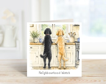 Funny Dogs Greetings Card, For Birthday or Blank For Any Occasion.