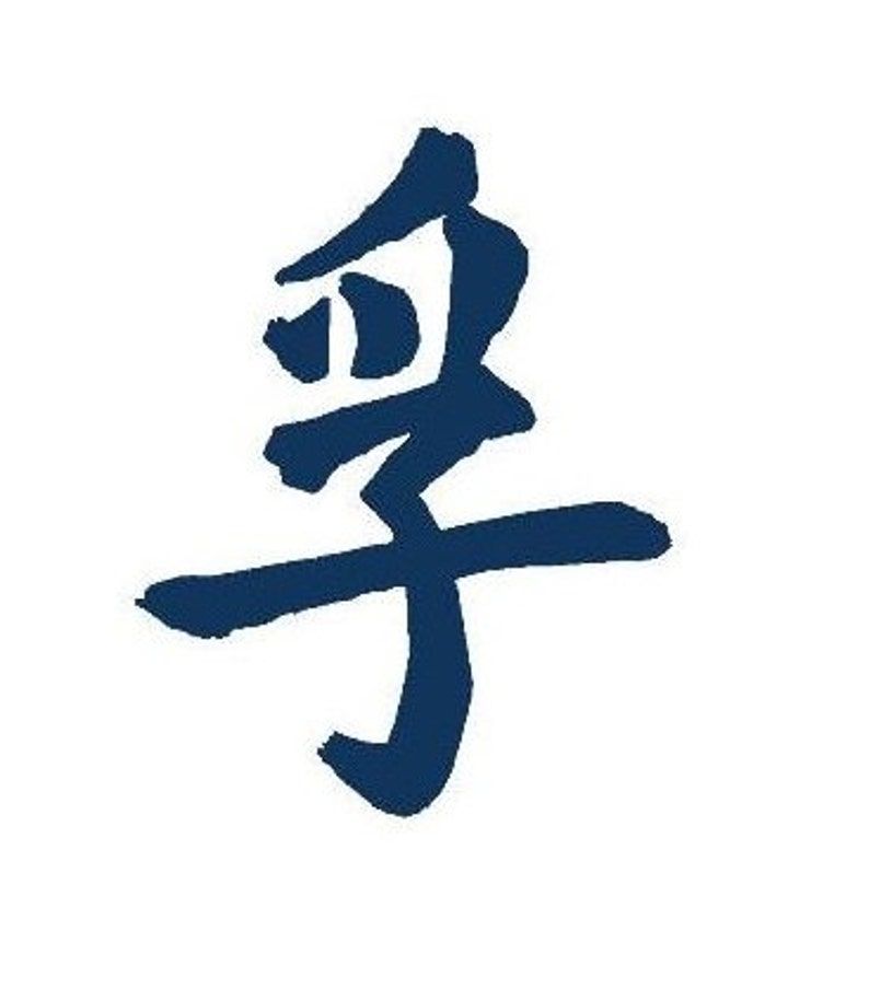 Chinese symbols for fuck you