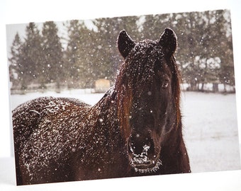 Black Horse In Snow Photo Greeting Card, Happy Birthday, Anniversary, Thank You, Thinking of You, Get Well, Congratulations, Graduation, Etc