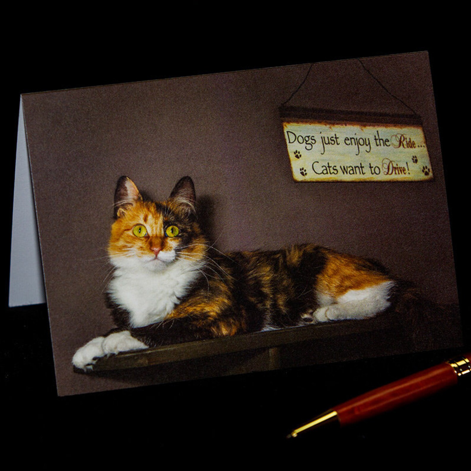 Calico Cat Photo Greeting Card Happy Birthday Anniversary - Etsy Italia