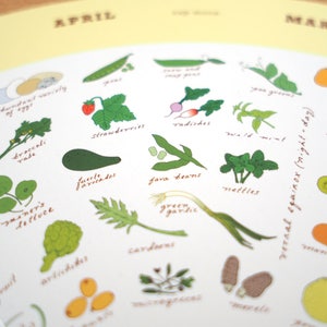 May include: A white background with a colorful illustration of various fruits and vegetables. The illustration is divided into two sections, labeled "April" and "March". Each section features a different set of fruits and vegetables, with their names written in cursive.