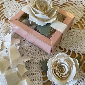 5 bomboniere GREEN con fiore in carta seminabile