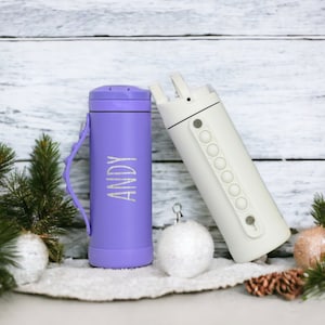 Pure Purple Iridescent Stainless Steel Water Bottle