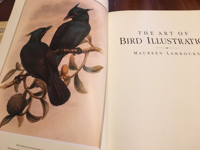 The Art of Bird Illustration, Visual Tribute to Bird Illustrators, Surveys of Audubon, Collecting Bird Prints, Coffee Table Book image 2