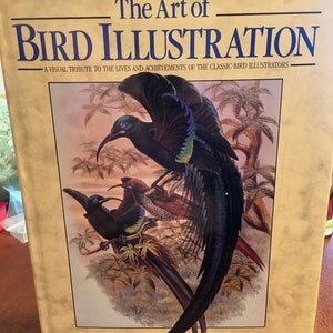 The Art of Bird Illustration, Visual Tribute to Bird Illustrators, Surveys of Audubon, Collecting Bird Prints, Coffee Table Book image 1