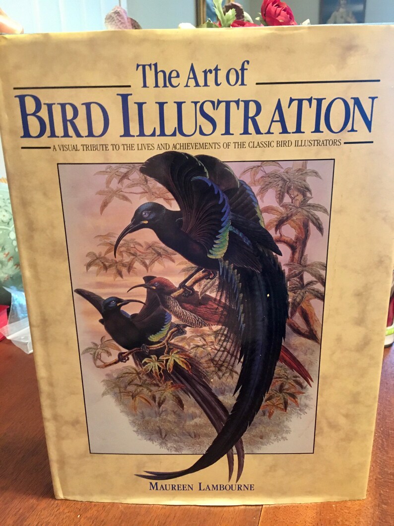 The Art of Bird Illustration, Visual Tribute to Bird Illustrators, Surveys of Audubon, Collecting Bird Prints, Coffee Table Book image 1