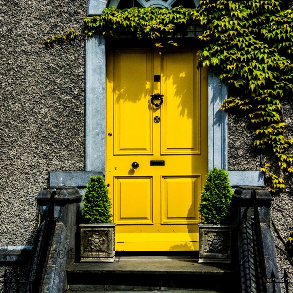 Doors of Dublin Print Etsy