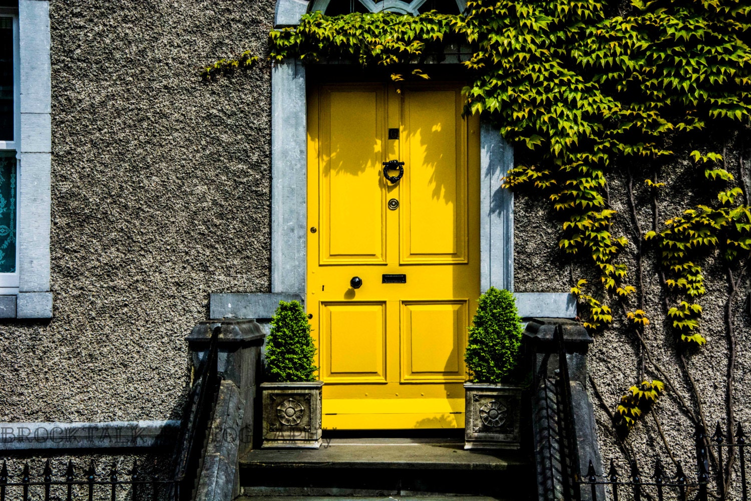 Photo Front of Yellow Door in Dublin Ireland Irish Home Etsy