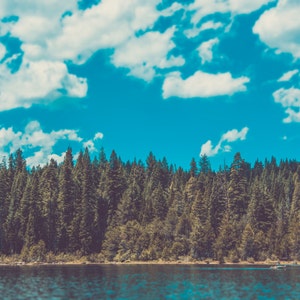 Die Bäume an Gerle Creek Reservoir, Sommerspaß, blauer Himmel, sauberes Wasser