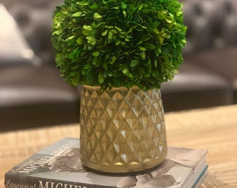 Preserved Boxwood Ball on Vintage-Gold Colored Planter, Preserved Boxwood Ball, Boxwood Topiary