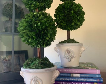 Custom Preserved Boxwood Topiary, Double Boxwood Topiary, French Country, English Garden